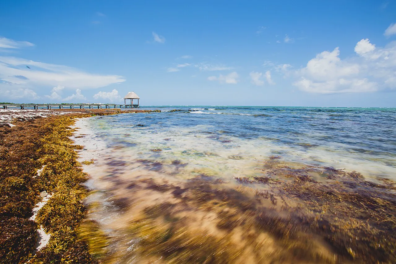 Caribbean All-Inclusive Resorts Worth Booking in 2025
